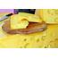 Emmental Cheese  Gaia Therapeat