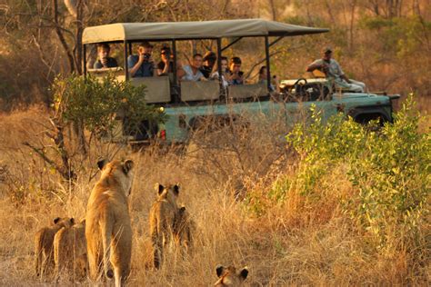 Kruger National Park Game Drives Lukimbi Safari Lodge