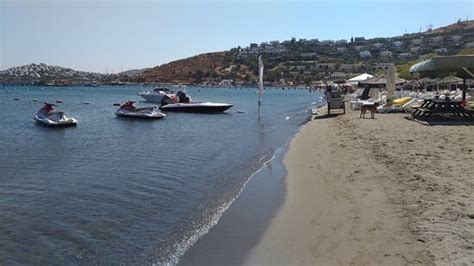 Camel Beach Bodrum City 2020 All You Need To Know Before You Go With Photos Bodrum City