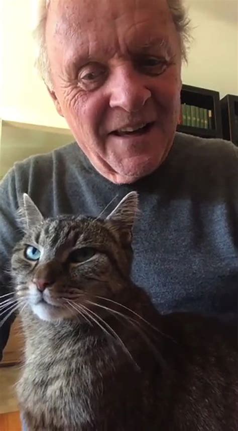 Anthony Hopkins Plays The Piano For His Cat Niblo During Self Isolation