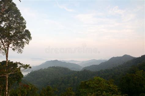 Morning Mountain Mist Stock Photo Image Of Idyllic Misty 40547182