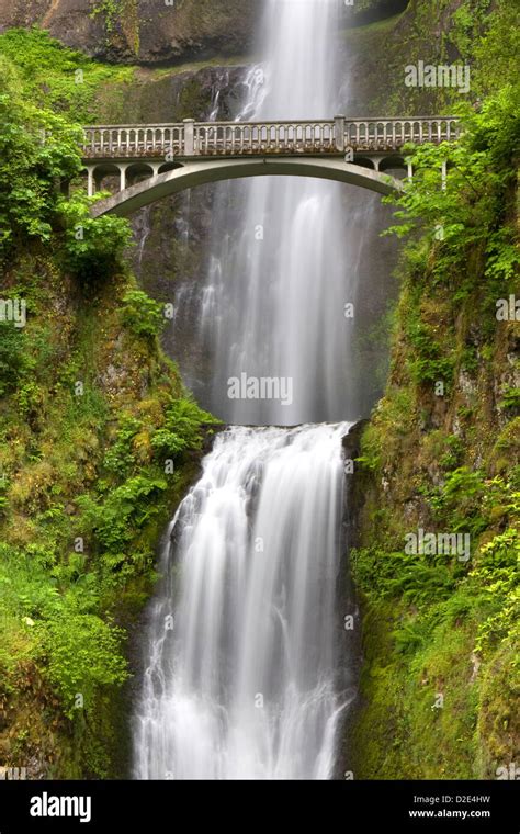 Multnomah Falls And The Famous Benson Foot Bridge In The Columbia River