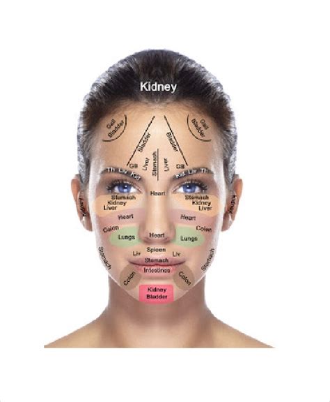 11 Reflexology Chart Templates Free Sample Example Format