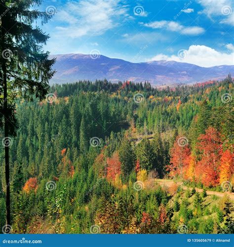Beautiful Autumn Landscape Mountains Carpathians Ukraine Stock Image