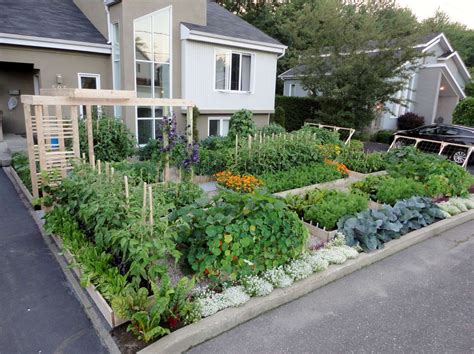 Le Potager Urbain Growing Food Not Lawn Front Yard Garden Design