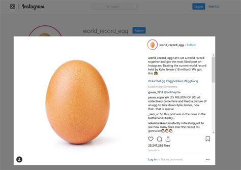 World Record Egg Fotografia Unui Ou Cea Mai Apreciată Din Lume Pe