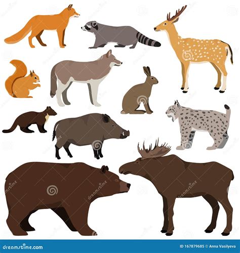 Marten Wild Animals Vector Illustration 71501562