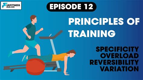 Sports And Exercise Science Series Ep12 The Principles Of Training
