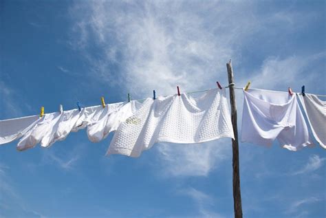 Washing Line Or Rotary Dryer We Discuss The Pros And Cons Network
