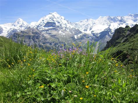 Free Images Switzerland Mountainous Landforms Natural Landscape