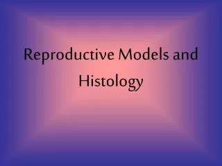 Ppt Male Reproductive System Histology And Models Powerpoint Presentation Id
