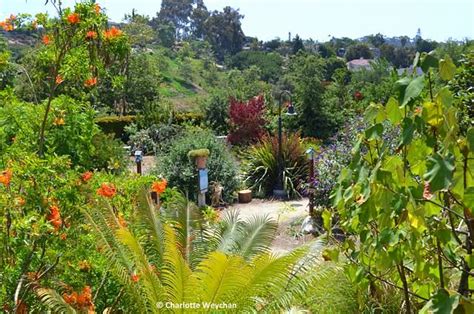San Diego Botanic Garden With Less Than 11 Of Rain A Year The
