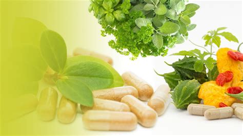 Top Nutraceutical Companies In India Nutraceutical Pharma Companies