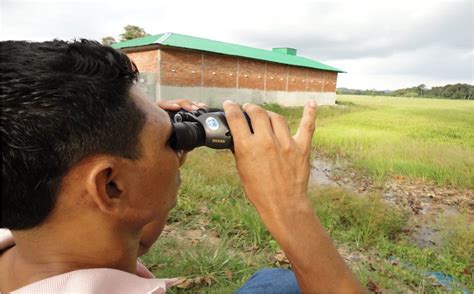 Halo sobat sehat, kali ini saya membuat vlog kali ini saya berada di. Petua,Idea dan Pandangan: Buat Duit Dengan Burung Walit