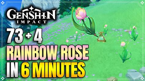 Rainbow Rose Locations Fast And Efficient Route Arlecchino