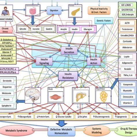 A Systemic Map Of The Complex Nature Of Insulin Resistance And