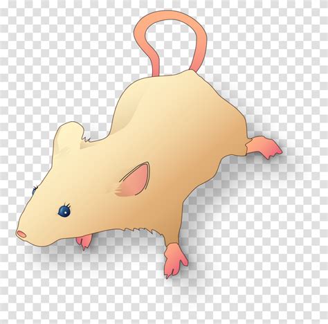 Vectorized Lab Mouse Mg 3263 For Scientific Figures Scientific Mouse