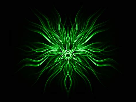 Abstract Green 8k Ultra Hd Wallpaper By Hk3ton