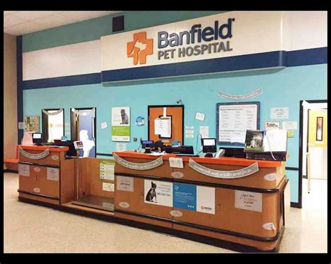 Vets In Midtown Miami Fl Banfield Pet Hospital