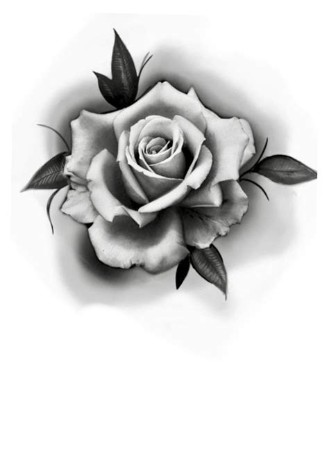 Realistic Rose Tattoo Rose Drawing Tattoo Flower Tattoo Drawings