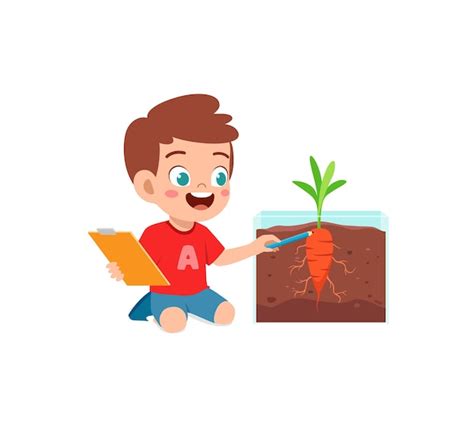 Premium Vector Little Boy Observe Plant Growing In Garden