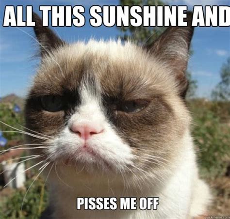 42 Hot Weather Memes To Help You Cool Down