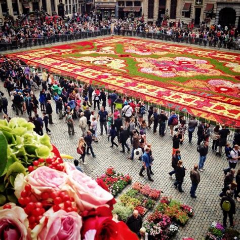 Flower Power Seeing The Flower Carpet In Brussels The Culture Map