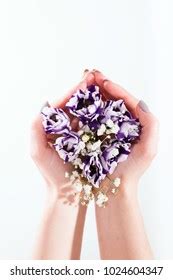 Hands Holding Tender Bouquet Purple Eustoma Stock Photo