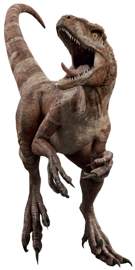 Red Is An Atrociraptor Debuting In Jurassic World Dominion By 2022 Red Was Bred Possibl
