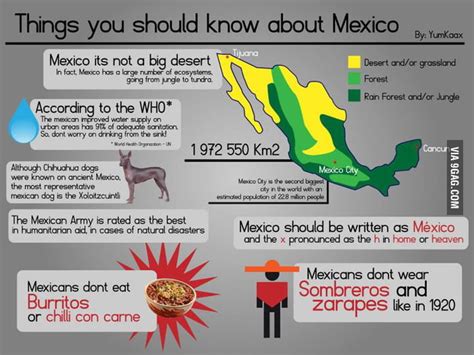 Just Some Mexican Facts 9gag