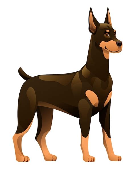 Premium Vector Doberman Dog Vector Cartoon Illustration