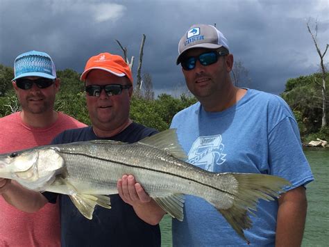 Tampa Fl Fishing Charters All You Need To Know Before You Go