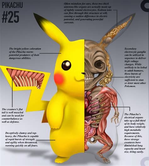 Pokémon Anatômico Ajuda Crianças A Aprender Biologia Jornal Joca