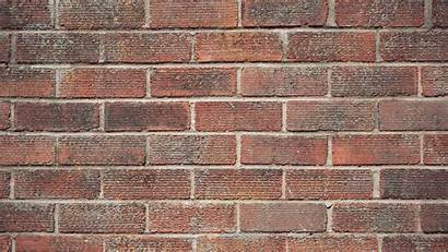 Brick Texture Bricks Walls Wall Stone Background