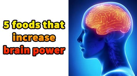 5 Foods That Increase Brain Power 5 Foods To Boost Your Brain Power Youtube