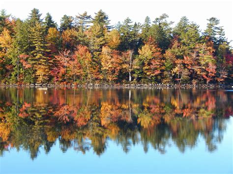Beautiful Fall Colors Reflected In Still Lake Nature