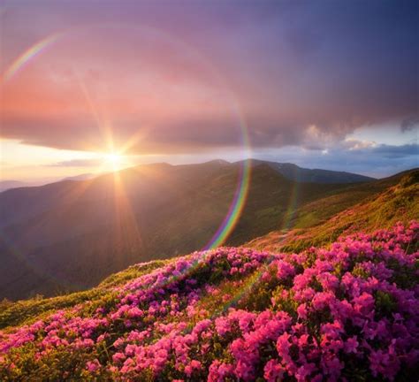 Mountain Landscape With Flowers And A Rainbow — Stock Photo © Kotenko