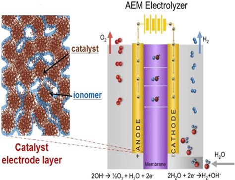 Schematic Of The Membrane Electrode Assembly Mea And Catalyst