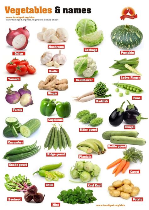 Vegetable Pictures Name Of Vegetables Vegetables Names With Pictures