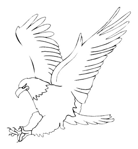 March 14, 2021september 30, 2020 by coloring. Eagle Bird Coloring Pages To Printable