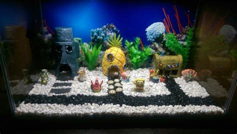 Pin By Michelle Pham On Fish Inspiration Cool Fish Tanks Betta Fish