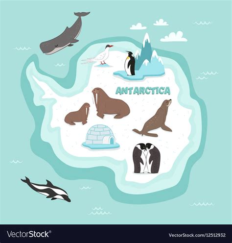 Antarctic Continent Map With Wildlife Animals Vector Image