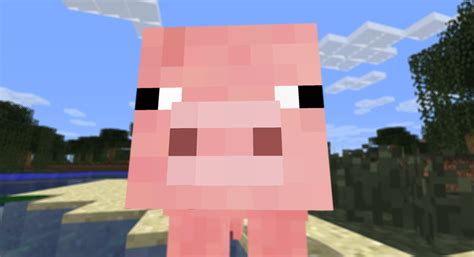 Free Download Minecraft Pig Face Wallpaper Images Pictures