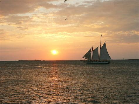 Sailboat At Sunset Key West Fl Photograph By James Defazio Fine Art
