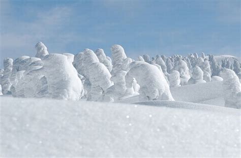 Fresh Pics Snow Monsters Of Japan