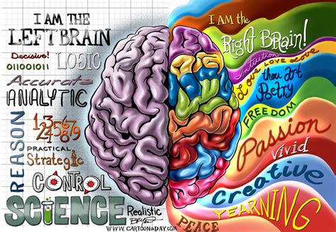 Neuromarketing El Cerebro Y Las Emociones Protocolo Imep