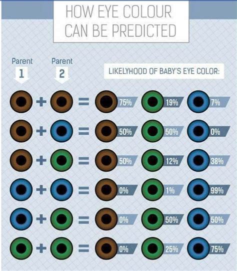 Eye Color Combination Chart Parent And Children Eye Colors Science 8