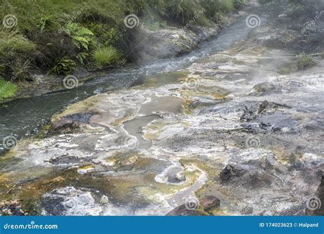Mist And Mineral Sediments From Hot Springs On Creek At Waimangu Valley