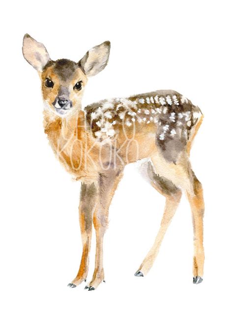 Baby Deer Fine Art Print By Chocovenyl