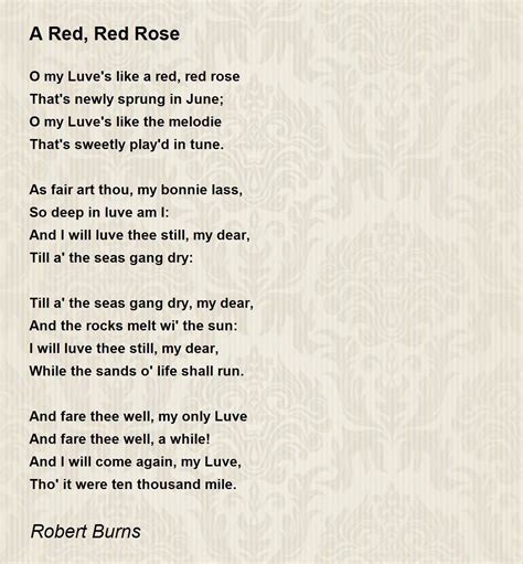 A Red Red Rose A Red Red Rose Poem By Robert Burns